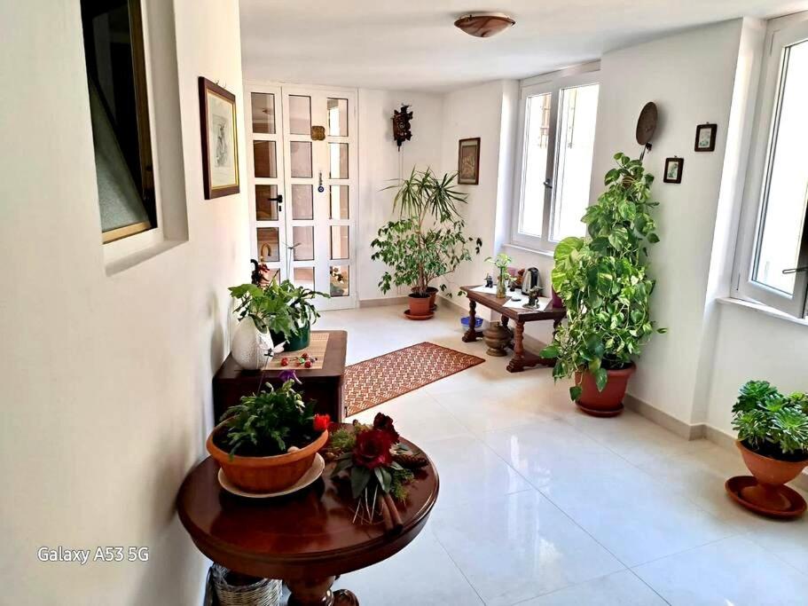 Ferienwohnung La Casa Di Tina Alghero Exterior foto